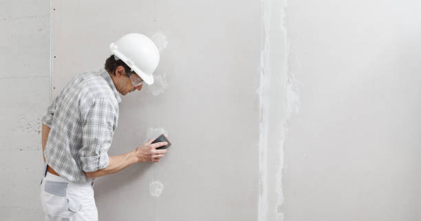 Best Drywall Repair  in Chesaning, MI